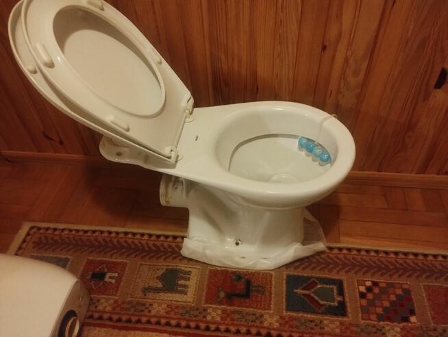Muszla klozetowa WC koło używana Mielec