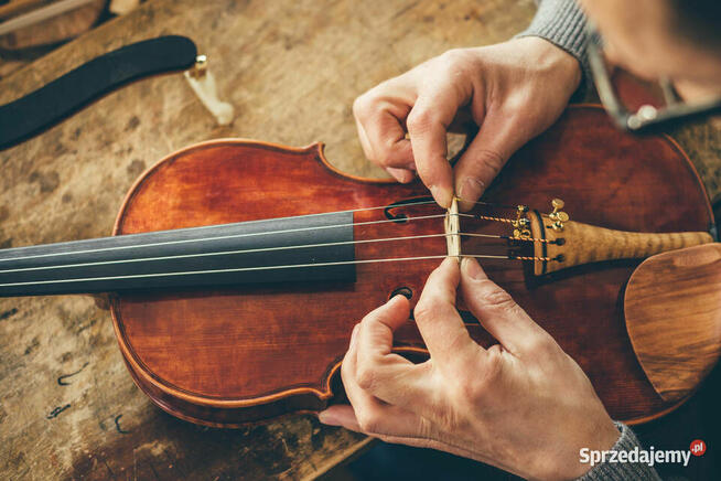 ## Lutnik - Pracownia Lutnicza Białystok i Podlaskie ##