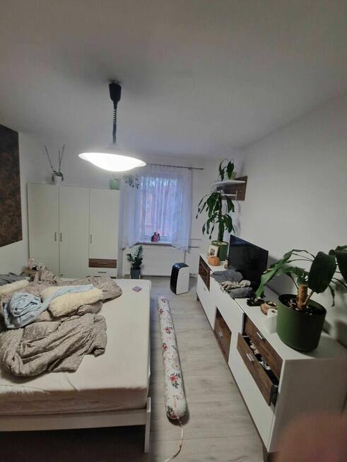 Wykończenia wnętrz, remonty