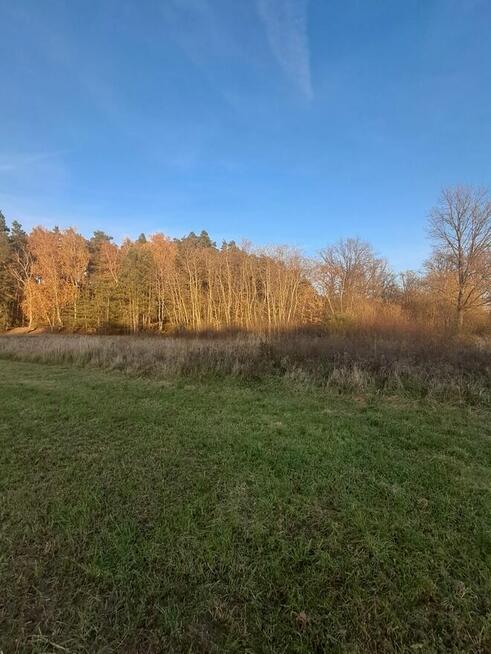 Działka budowlana z warunkami o pow. 1400m2, Dzierzbin
