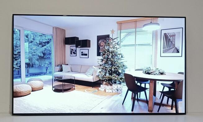 55 Cali TV LG OLED 120 Hz 4K HDR Smart TV DVB-T2 Hevc + Uch