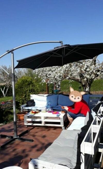 Działka rekreacyjna ogrodowa, altana, Strzegom