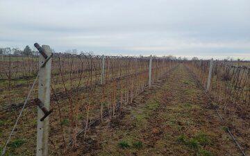 Działka 8027 m2 w Poniatowej na sprzedaż