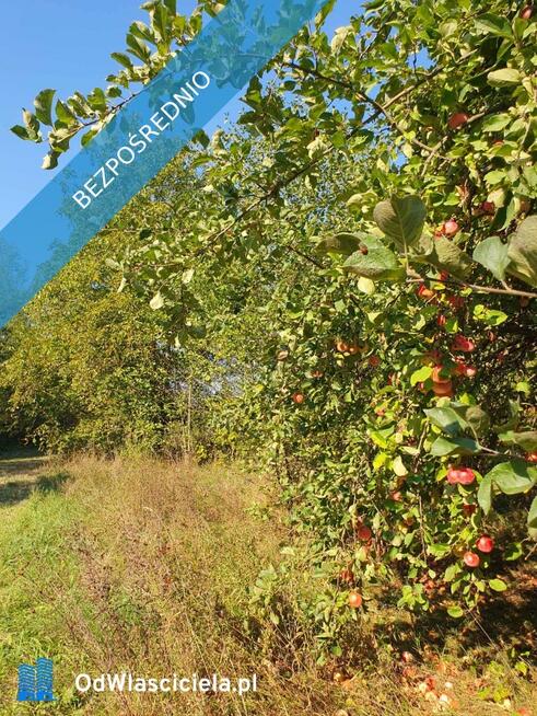 Dom z siedliskiem i ziemią rolną