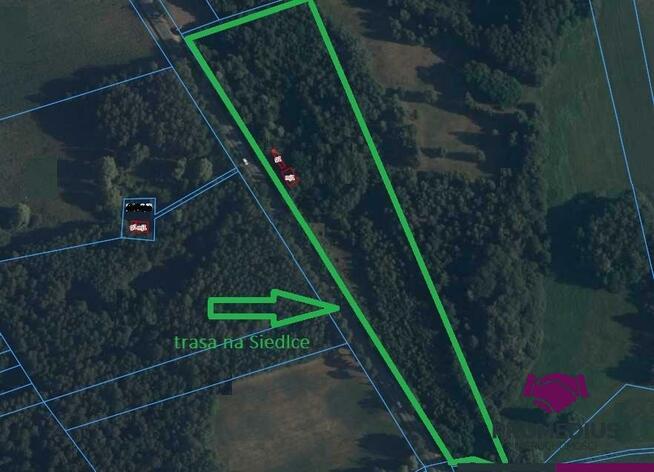 Działka rolno-budowlana Węgrów, Gościniec Niepodległości