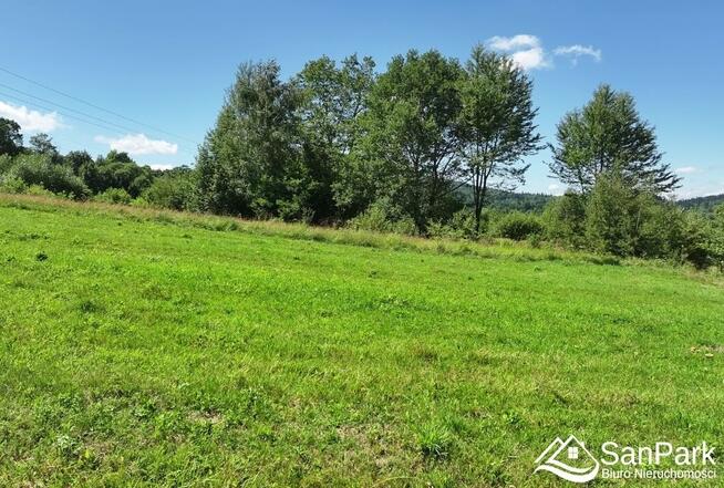 Działka rolna Olszanica Wańkowa