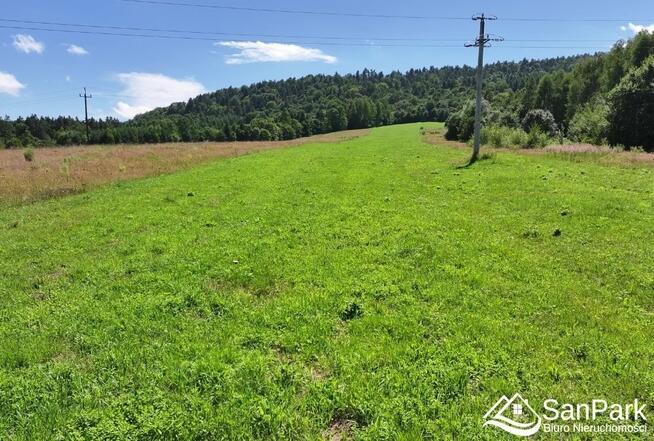 Działka rolna Olszanica Wańkowa