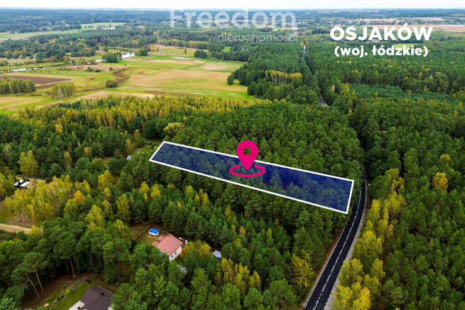 Działka budowlana w lesie 3300 m²