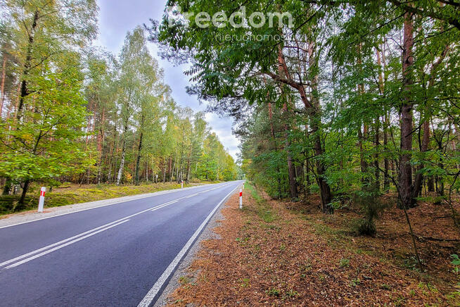Działka budowlana w lesie 3300 m²