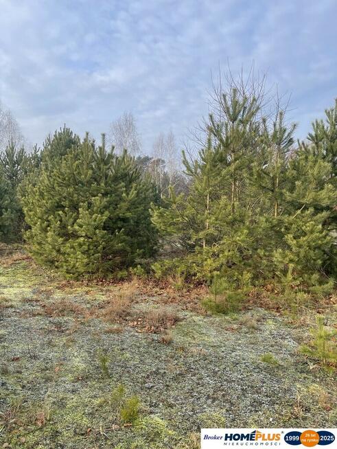 Działka 2050 m² pod zabudowę letniskową.