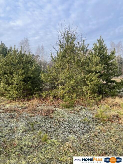 Działka 1000 m² pod zabudowę letniskową.