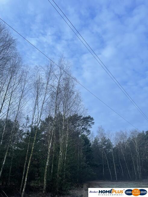 Działka 1000 m² pod zabudowę letniskową.