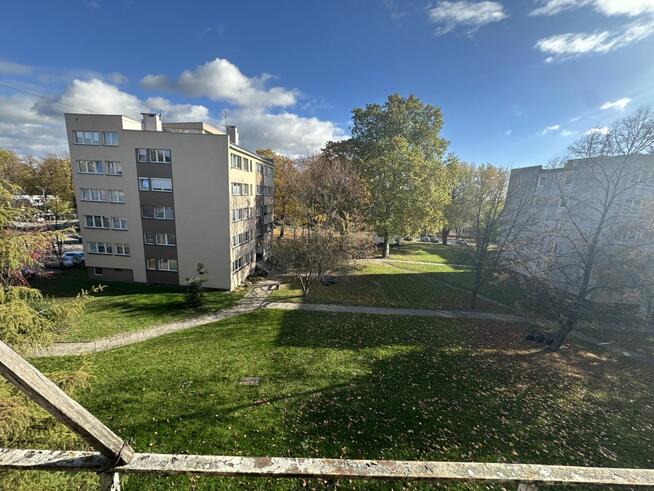 Mieszkanie Strzelin, Rynek