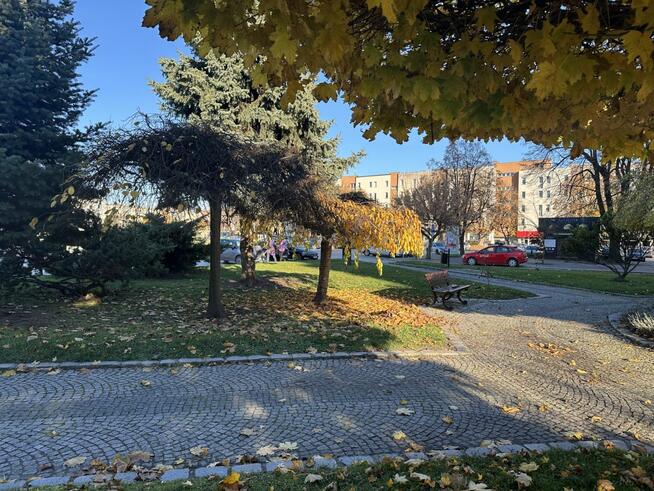 Mieszkanie Strzelin, Rynek