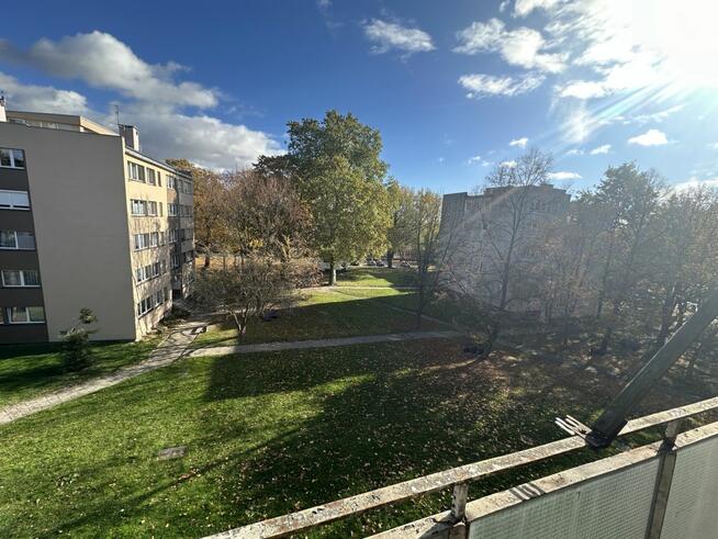 Mieszkanie Strzelin, Rynek