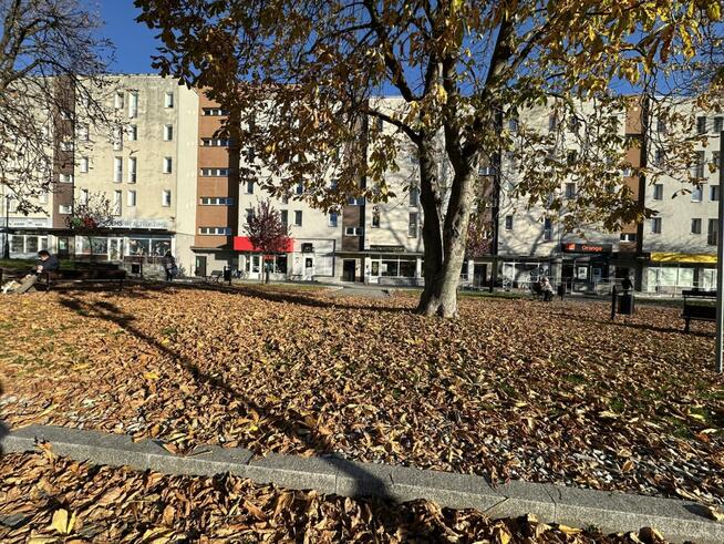 Mieszkanie Strzelin, Rynek