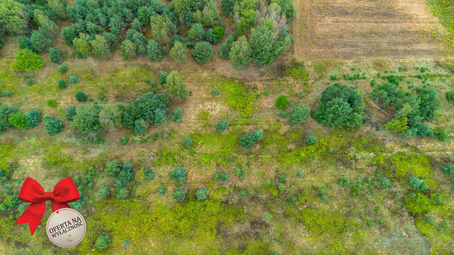 Działka rolna Wólka Krasienińska gm. Kamionka,