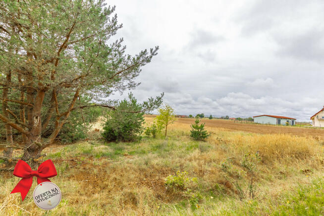 Działka rolna Wólka Krasienińska gm. Kamionka,