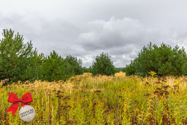 Działka rolna Wólka Krasienińska gm. Kamionka,