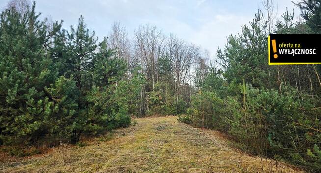 Dom Górnowola gm. Nowy Korczyn,