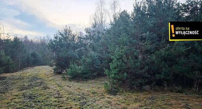 Dom Górnowola gm. Nowy Korczyn,