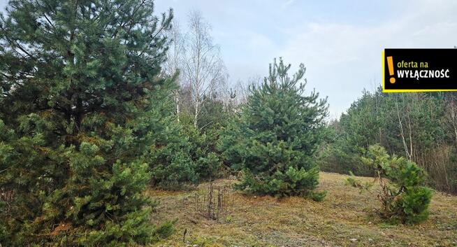 Dom Górnowola gm. Nowy Korczyn,