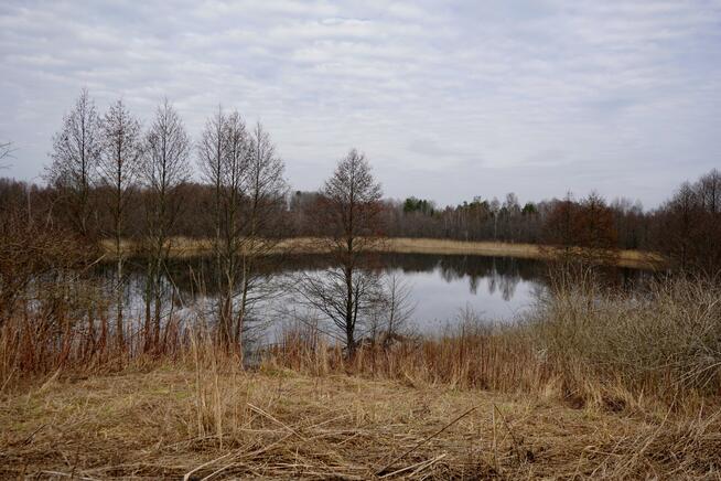 Działka rolno-budowlana Grom gm. Pasym