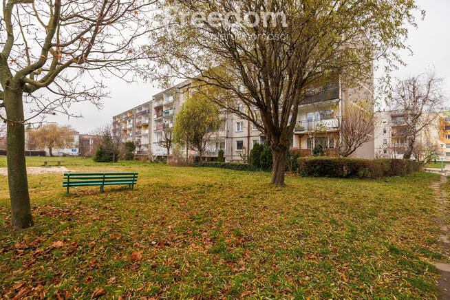 Ustawne 3 pokoje z balkonem Gdynia-Pogórze