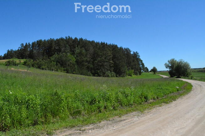 Działka z wydanymi warunkami zabudowy.