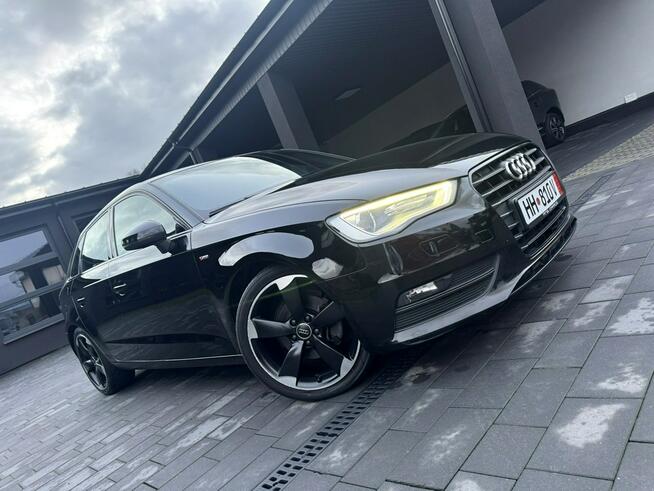 Audi A3 2.0TDI 150KM S-Line GPS PDC Xenon Rotor Climatronic Car Pass 1 wł