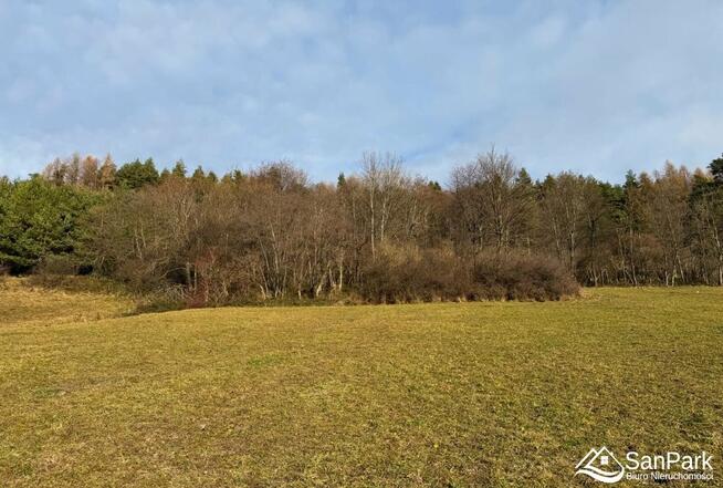 Działka rolna Ustrzyki Dolne Zadwórze