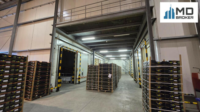 Lokal użytkowy Grójec,