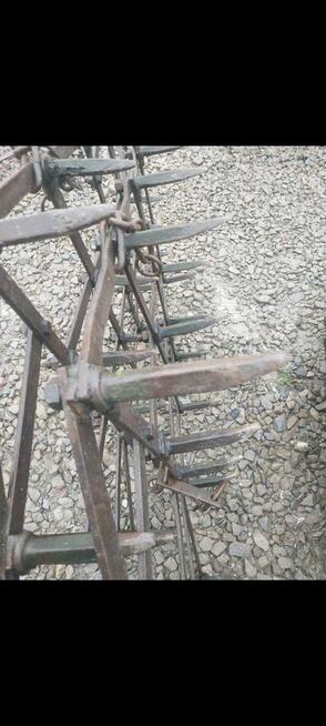 Brony 3ki grudziądz średnie