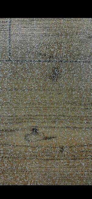 Tkanina z koronką, dla produkcji odzieży damskiej , sukienek