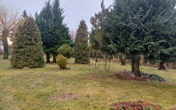 Działka 8027 m2 w Poniatowej na sprzedaż