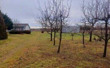 Działka 8027 m2 w Poniatowej na sprzedaż