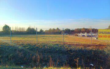 Działka budowlana inwestycyjna 6376 m2 w Kurowie