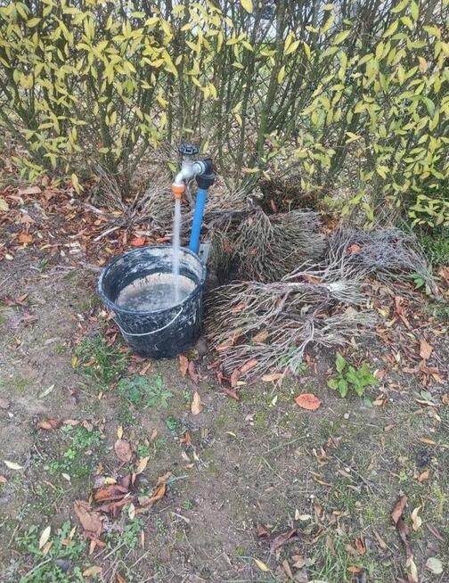 Działka rekreacyjna ogrodowa, altana, Strzegom