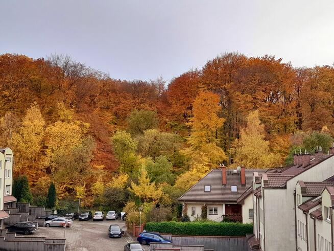 Mieszkanie na Osiedlu Bukowym z widokiem na Puszczę