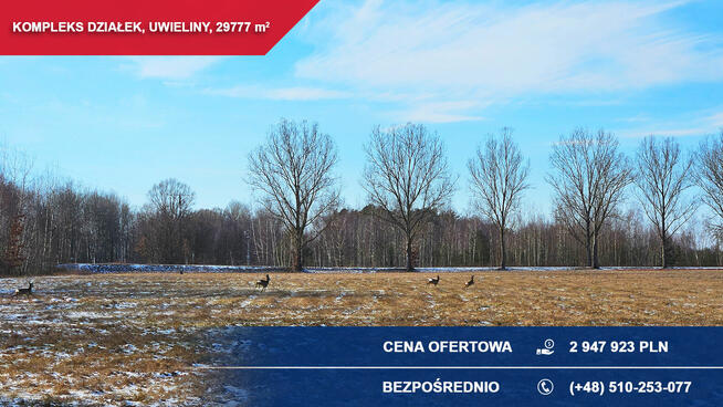 Kompleks 21 działek budowlanych 3ha Uwieliny z MPZP!