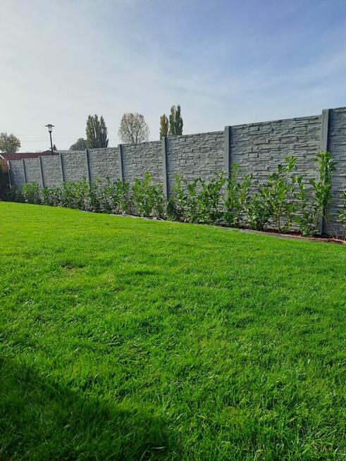 Ogrodzenia betonowe Producent Zgorzelec