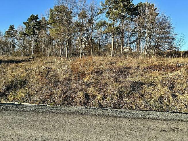 POLECAMY! 124G Trzetrzewina gmina Chełmiec, działka budowlan