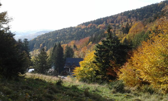 Sylwestra Wynajmę Domek 3km do Gór Sowich