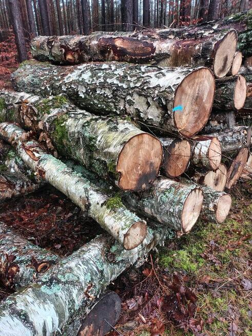 Drewno kominkowe opałowe