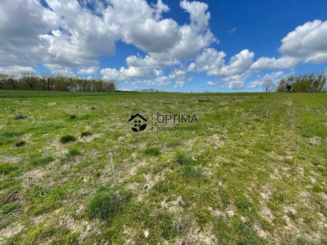 Działka budowlana Gościno, Modrzewiowa