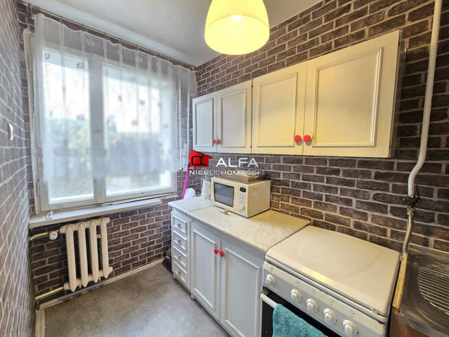 Mieszkanie Świdnica