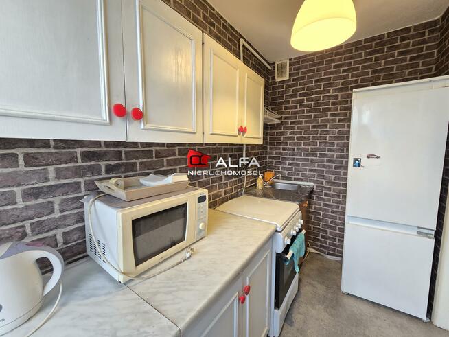 Mieszkanie Świdnica