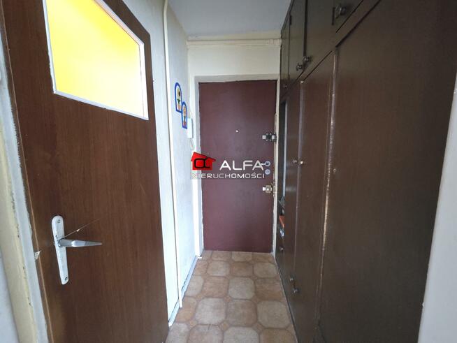 Mieszkanie Świdnica