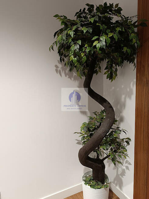 Lokal użytkowy Warszawa Śródmieście, Krakowskie Przedmieście