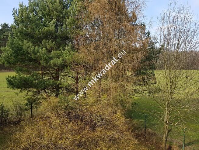 ⭐⭐⭐⭐Lux DZIAŁKA W OTULINIE LAsU Idealna cisza ⭐⭐⭐⭐